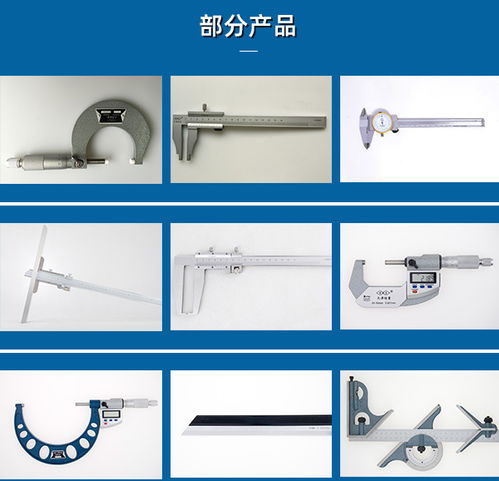 防水數顯卡尺訂購 防水數顯卡尺 天津桂量量具刃具